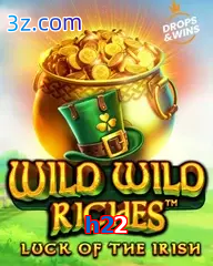 h22 slot wild wild riches